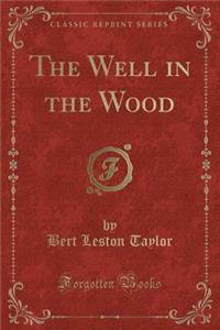 The Well in the Wood (Classic Reprint)