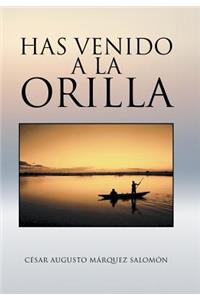 Has venido a la orilla