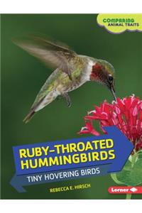 Ruby-Throated Hummingbirds