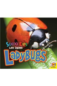 Ladybugs