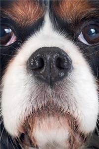 Cavalier King Charles Spaniel vol.1 Notebook & Journal. Productivity Work Planner & Idea Notepad