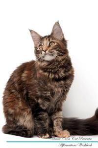 Maine Coon Cat Affirmations Workbook Maine Coon Cat Presents