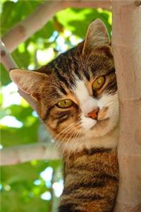 Cat in a Tree Animal Journal
