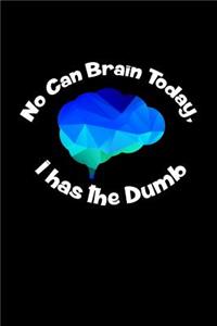 No Can Brain Today, I has the Dumb