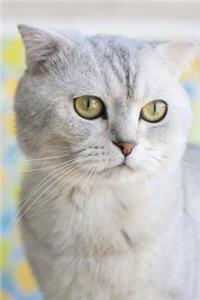 Winsome White Cat with Green Eyes Feline Pet Journal