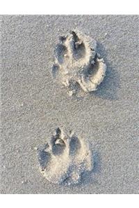 My Dog Memories