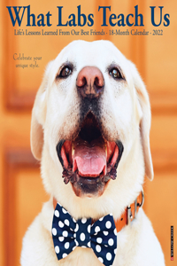 What Labs Teach Us 2022 Wall Calendar (Labrador Retriever Dogs, Dog Breed)