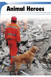 Animal Heroes