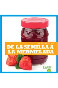 de la Semilla a la Mermelada (from Seed to Jam)