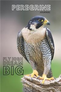 Peregrine falcon journal &Notebook 6