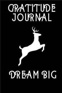 Gratitude Journal Dream Big