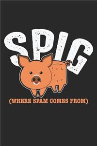 Spig (Where Spam Comes From)