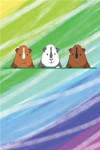 Drei Meerschweinchen