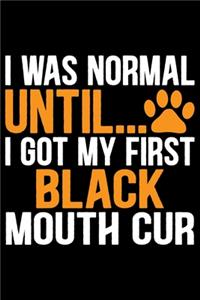 I Was Normal Until I Got My First Black Mouth Cur