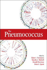 The Pneumococcus