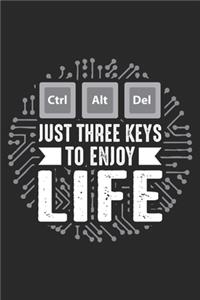 CTRL ALT DEL Just Three Keys to Enjoy Life