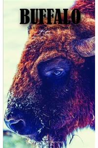 Buffalo 5 x 8 Weekly 2020 Planner