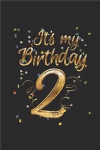It's My Birthday 2