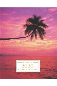 2020