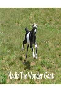 Nadia the wonder goat