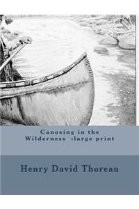 Canoeing in the Wilderness: large print