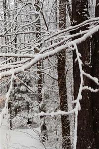 2019 Weekly Planner Winter Season Pretty Forest 134 Pages
