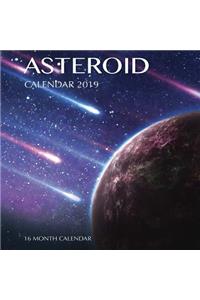 Asteroid Calendar 2019