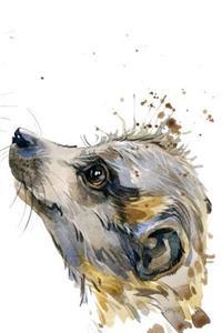 Meerkat Notebook