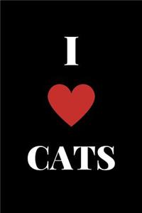 I Love Cats