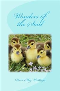 Wonders of the Soul