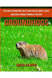 Groundhogs