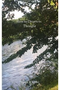 How to Drown in Thought