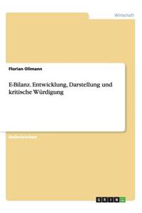 E-Bilanz. Entwicklung, Darstellung und kritische Würdigung