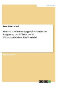 Analyse von Beratungsgesellschaften zur Steigerung der Effizienz und Wirtschaftlichkeit. Ein Praxisfall