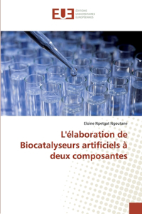 L'élaboration de Biocatalyseurs artificiels à deux composantes