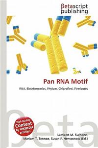 Pan RNA Motif