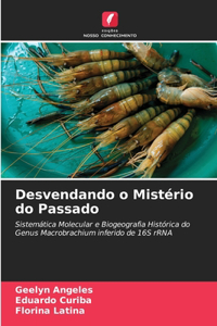 Desvendando o Mistério do Passado