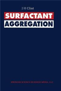 Surfactant Aggregation