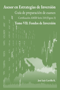 Asesor en Estrategias de Inversión