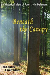 Beneath the Canopy