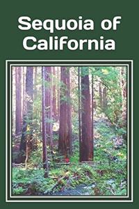 Sequoia of California