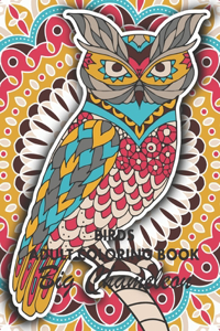 Birds Adult Coloring Book