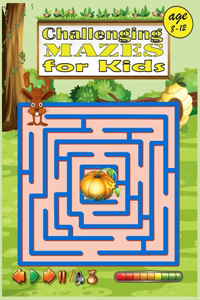 Challenging Mazes For Kids age 8-12