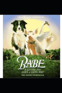 Babe Book