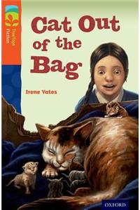 Oxford Reading Tree TreeTops Fiction: Level 13 More Pack B: Cat Out of the Bag