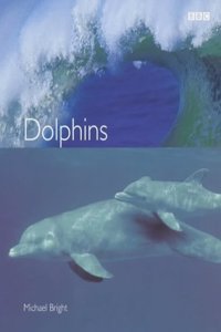 Dolphins Paperback â€“ 27 September 2001