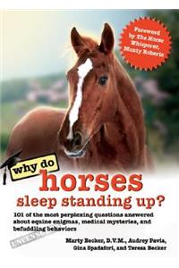 Why Do Horses Sleep Standing Up?