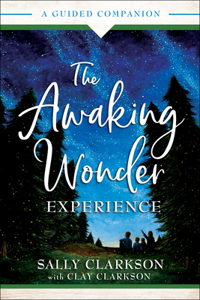 Awaking Wonder Experience