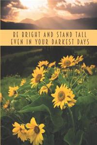 Be Bright And Stand Tall Even In Your Darkest Days