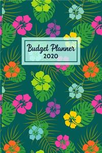 Budget Planner 2020